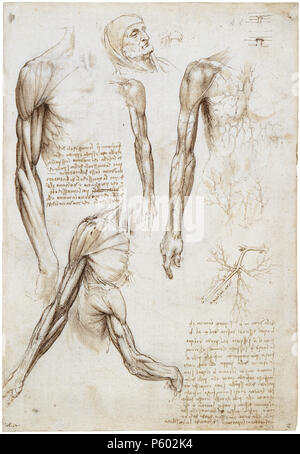 Einen toten oder sterbenden Mann in Büste Länge. Englisch: einen toten oder sterbenden Mann in Büste Länge. Die Muskeln des Arms und die Venen des Arms und Kofferraum. . Zwischen 1510 und 1511. Leonardo da Vinci (1452 - 1519) Alternative Namen Leonardo di ser Piero da Vinci, Leonardo Beschreibung italienischer Maler, Ingenieur, Astronom, Philosoph, Anatom und Mathematiker Geburtsdatum / Tod 15. April 1452 vom 2. Mai 1519 Ort der Geburt / Todes Anchiano Clos Lucé Arbeit Periode von 1466 bis 1519 Standort Florenz (1466-1482), Mailand (1483 - 1499), Mantua (1499), Venedig (1500), Florenz (1500 - 1506), Mil Stockfoto