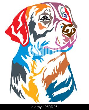 Bunt dekorativ Porträt der Große Schweizer Sennenhund, Vector Illustration in verschiedenen Farben auf weißem Hintergrund. Bild für Design und Stock Vektor