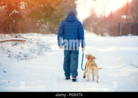 Ein Mann mit einem Labrador Retriever Hund wandern im Winter Wald auf einer verschneiten Straße, an der Rückseite der Kamera Stockfoto