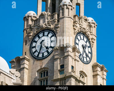 Nahaufnahme eines der Drei Graces, Royal Lever Building, Pier Head, Liverpool, England, Großbritannien mit den größten Uhren im Vereinigten Königreich und blauem Himmel Stockfoto