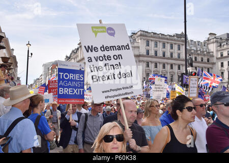 Anti Brexit Demo, London, 23. Juni 2018 UK. Kampagne für einen Menschen auf der abschließenden Brexit beschäftigen. Stockfoto