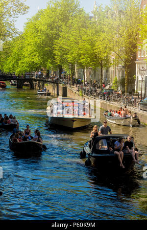 Sommer in Amsterdam Stockfoto