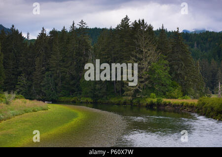 Die Hama Hama River bei Ebbe, Haube Kanal, Washington Stockfoto