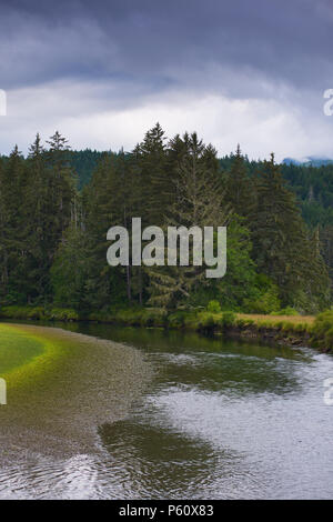 Die Hama Hama River bei Ebbe, Haube Kanal, Washington, Hochformat Stockfoto