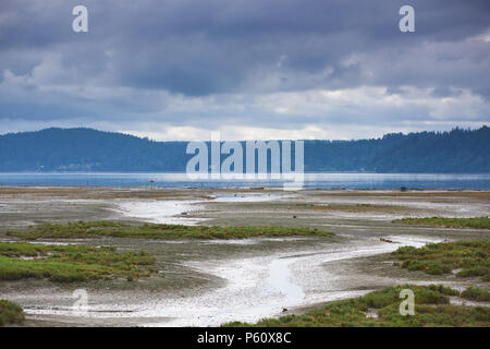 Ebbe an der Mündung des Hama Hama Fluss, Haube Kanal, Washington. Stockfoto