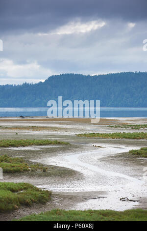 Ebbe an der Mündung des Hama Hama Fluss, Haube Kanal, Washington, Porträts der Orientierung. Stockfoto