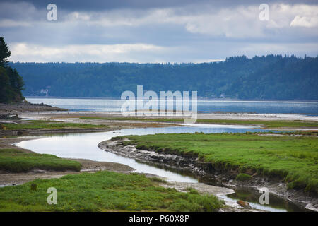 Ebbe an der Mündung des Hama Hama Fluss, Haube Kanal, Washington. Stockfoto