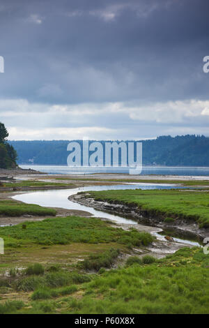 Ebbe an der Mündung des Hama Hama Fluss, Haube Kanal, Washington, Hochformat. Stockfoto