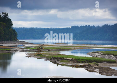 Ebbe an der Mündung des Hama Hama Fluss, Haube Kanal, Washington. Stockfoto