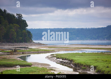 Ebbe an der Mündung des Hama Hama Fluss, Haube Kanal, Washington. Stockfoto