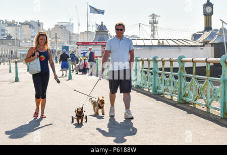 Brighton UK vom 28. Juni 2018 - DE Wetter: Die 14 Jahr Scrappy alte Yorkshire Terrier genießt einen Spaziergang entlang der Strandpromenade von Brighton in diesem sonnigen Morgen mit einigen Rädern seine Hinterbeine zu helfen, während er im Urlaub mit seinem Besitzer und Pal schmuddelig ist. Das heiße Wetter Prognose in Großbritannien für die nächste Woche mit Temperaturen über 30 Grad in einigen Teilen: Simon Dack/Alamy Live News, um fortzufahren Stockfoto