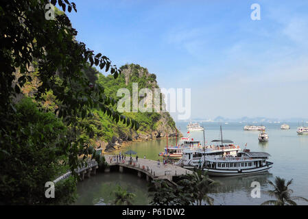 Ausflugsboote am Bootssteg, Dao gehen Insel, Ha Long Bay, quảng Ninh Provinz, Vietnam Stockfoto