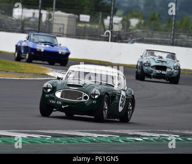 Markieren Pangborn, Harvey Woods, Austin Healey 3000, GT und Sportwagen Cup, HSCC, Silverstone International Trophy historisches Rennen treffen, Juni 2018, Autos, Stockfoto