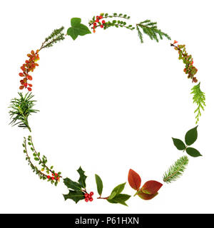 Winter und Weihnachten minimalistischen Kranz Kranz mit natürlichen Blatt Zweige, Beeren und Pflanzen auf weißem Hintergrund. Traditionelle weihnachtliche Grußkarte f Stockfoto