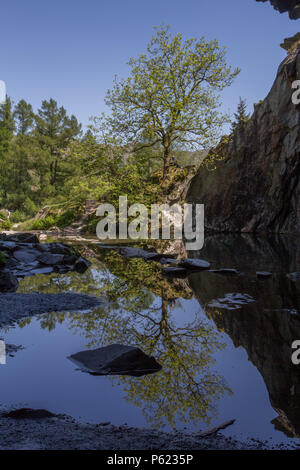 In Rydal Höhleneingang auf einem herrlichen sonnigen Tag Stockfoto