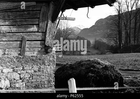 Brennholz Lagerung in Berner Oberland, Schweiz, im Januar 2008. Stockfoto