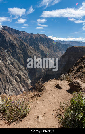 Colca Canyon, eine River Canyon im Süden Perus als einer der weltweit tiefsten berühmt. Stockfoto