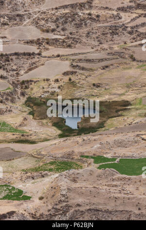 Colca Canyon, eine River Canyon im Süden Perus als einer der weltweit tiefsten berühmt. Stockfoto