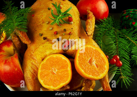 Festliche Weihnachten Ente gebacken mit Äpfel und Mandarinen Stockfoto