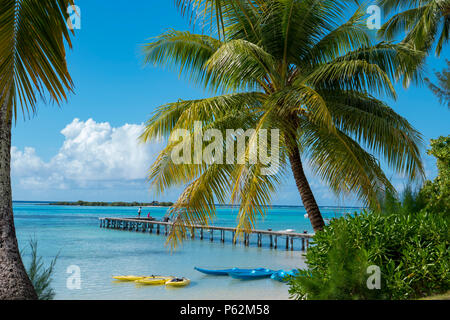 Les Tipaniers Hotel, Tiahura, Moorea, Französisch Polynesien, South Pacific Stockfoto