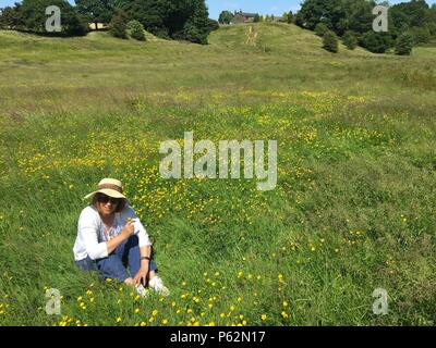 Frau in buttercup Feld. Stockfoto