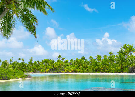 Tropische Lagune Landschaft mit Kokospalmen und blauer Himmel. Exotische Reiseziel im Sommer. Stockfoto