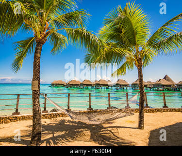 Hängematte zwischen Palmen am Strand von tropischen Sommerferien. Stockfoto