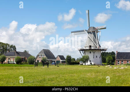 Charmante holländische Windmühle und Pferde auf der Weide, über blauen Himmel Stockfoto