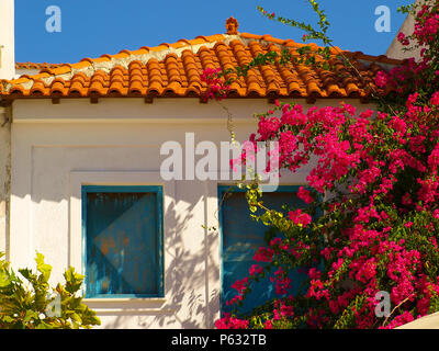 Typische traditionelle griechische Haus mit blauen Fenstern und Bougainvillea Blumen Stockfoto
