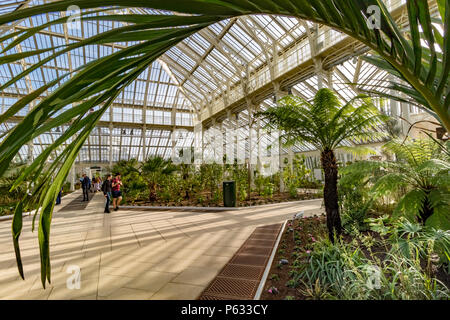 Besucher des kürzlich restaurierten gemäßigten Hauses in Kew Gardens, London, Großbritannien Stockfoto
