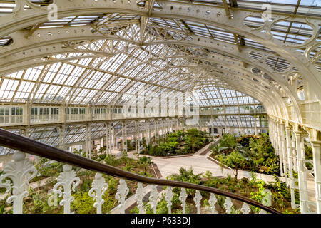 Das kürzlich restaurierte Tempered House in den Royal Botanic Gardens, Kew , Kew Gardens, London, Großbritannien Stockfoto