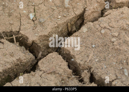 Tiefe Risse im Wasser ausgetrockneter Boden des beschnittenen Bereichs. Für Dürre in Großbritannien, Ernteausfälle, Ernteverluste, Hungersnot, Hitzewellenkonzept, Hitzewelle führt zu Wasserkrise Stockfoto