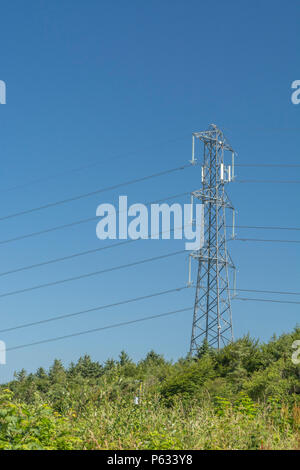 UK hohe Spannung Strom pylon vor blauem Himmel. Übersicht Störlichtbögen Hörner, Glas Isolatoren und Stockbridge Dämpfer/Hund Knochen Dämpfer. Stockfoto