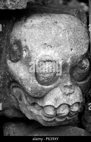 Alten Maya Baustein, geschnitzte ein Schädel - Ruinen von Copan, Honduras zu vertreten Stockfoto