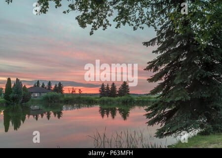 Naturpark der Biebrza Tal - Sonnenaufgang über medow und Pool Stockfoto