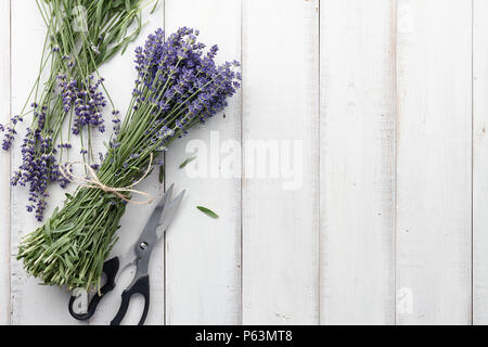 Komponieren und verbindlichen schöne Lavendel Blumen Blumenstrauß auf weißem Hintergrund Holzplanken, Ansicht von oben Stockfoto