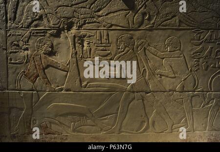 Tomb Relief mit der Darstellung eines Schlachtens Szene. Kalkstein. Alte Königreich. 5. Dynastie. 2350 BC. Neues Museum. Berlin. Deutschland. Stockfoto