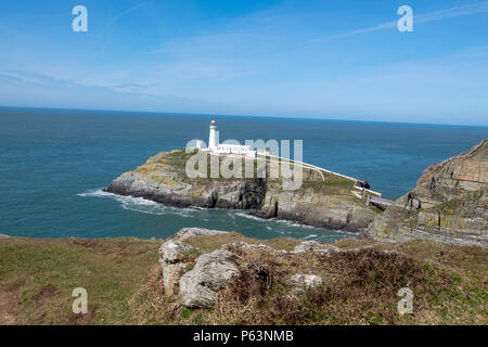 South Stack Leuchtturm, Anglesey Stockfoto