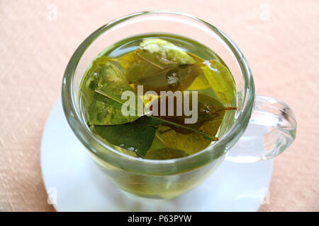 Trinken Coca leaf Tee zur Vermeidung von Höhenkrankheit, Puno, Peru Stockfoto