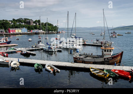 Tobermory Marina und Waterfront an einem schönen sonnigen Tag - Isle of Mull, Innere Hebriden, Schottland Stockfoto