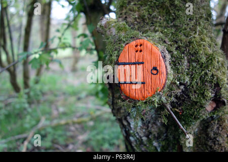 Orange Fee Tür in einem Baum im Wald bei Wycoller Country Park, Colne, Pendle, Lancashire, England, Großbritannien Stockfoto