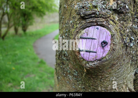 Lila Fee Tür in einem Baum im Wald bei Wycoller Country Park, Colne, Pendle, Lancashire, England, Großbritannien. Stockfoto