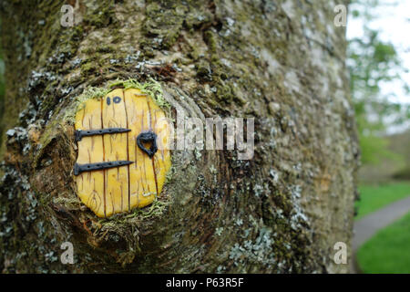 Gelbe Fee Tür in einem Baum im Wald bei Wycoller Country Park, Colne, Pendle, Lancashire, England, Großbritannien Stockfoto