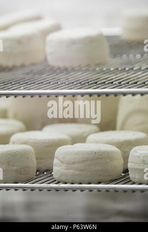 Der traditionelle französische Ziegenkäse Reifung auf Eisen hygienischen Fächer. Stockfoto
