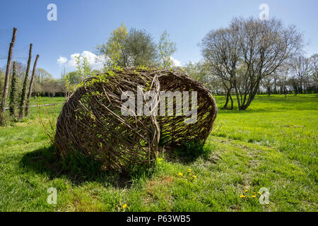 DIY Gebäude mit der Natur: ein Leben Willow Hütte. Stockfoto