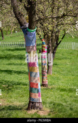 Garn Bombenanschlag oder yarnbombing: Ein blühender Baum mit bunten stricken Dekoration. Stockfoto