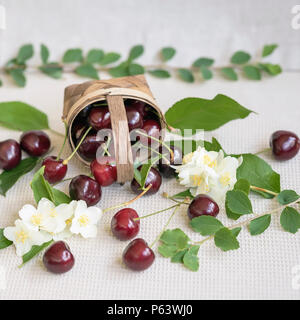 Weidenkorb mit reifer Kirsche und zerstreut, Beeren, Blätter, Blumen auf hellem Hintergrund. Vegetarische Konzept, Ernährung, Entgiftung, organischen Vitaminen und Sommer Stockfoto