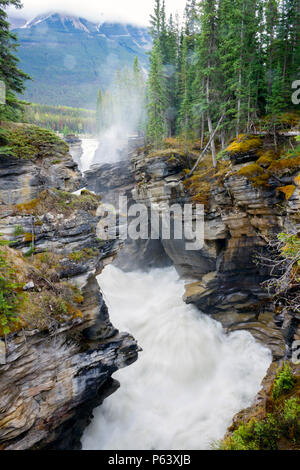 Sunwapta Falls ist ein paar Wasserfälle der Sunwapta River im Jasper National Park, Alberta, Kanada. Stockfoto