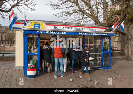 Fisch in der Nähe Binnenhof. Buitenhof in Den Haag (Den Haag), Niederlande. Stockfoto