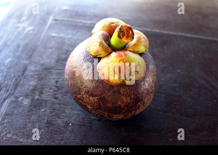 Lila mangosteen, eine tropische Frucht. Lokal als "anggis" in Indonesien bekannt. Stockfoto